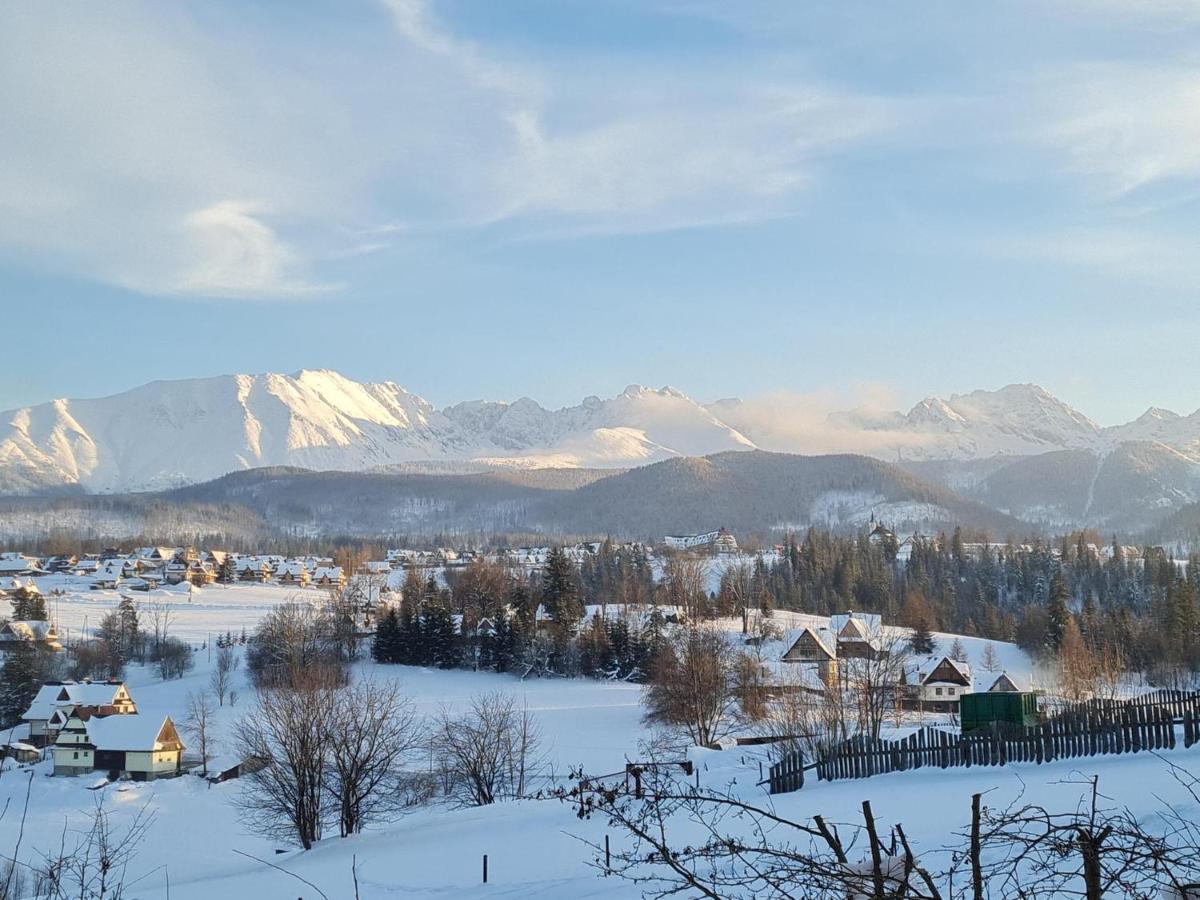 Villa Dorota Закопане Экстерьер фото